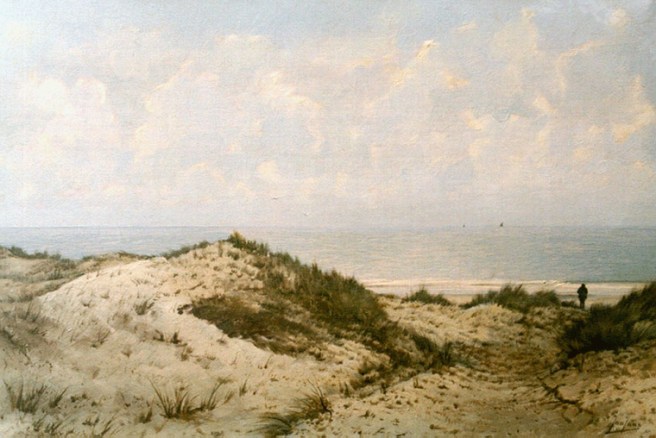 (image: duinen)